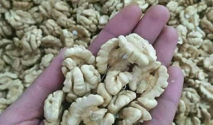Buy Kashmir Walnuts