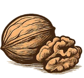 The Kashmir Walnuts